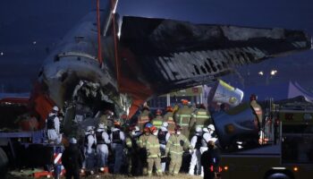 Südkorea: Flugzeug mit 181 Passagieren an Bord in Südkorea verunglückt