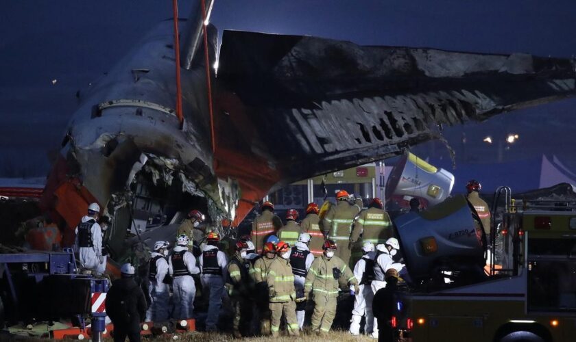 Südkorea: Flugzeug mit 181 Passagieren an Bord in Südkorea verunglückt