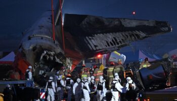 Why did the South Korean Jeju Air flight crash, killing 179? Experts question bird strike claims