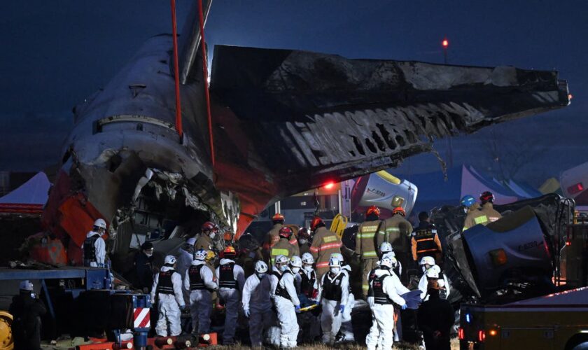 Why did the South Korean Jeju Air flight crash, killing 179? Experts question bird strike claims