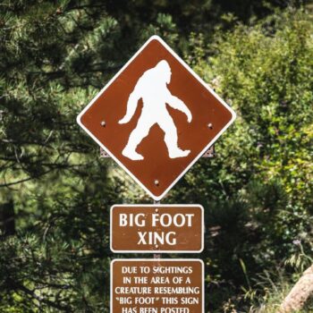 US-Bundesstaat Wahington: Zwei Männer sterben bei Suche nach Bigfoot