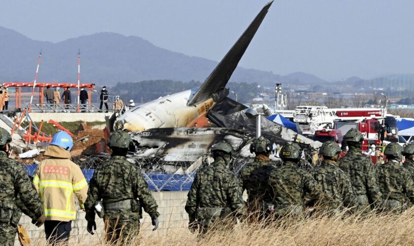 Pilot reported bird strike and declared mayday before South Korea plane crash