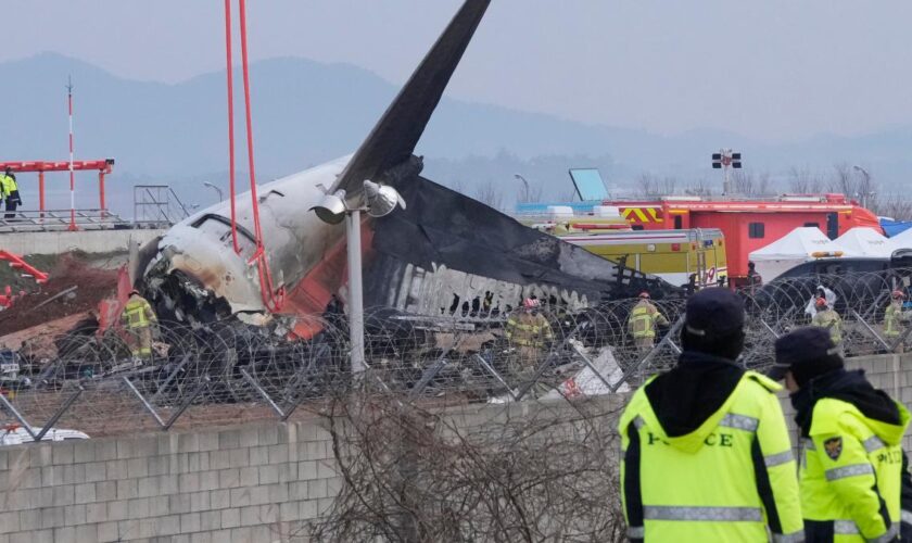 Flugzeugunglück in Südkorea – Beide Flugschreiber geborgen