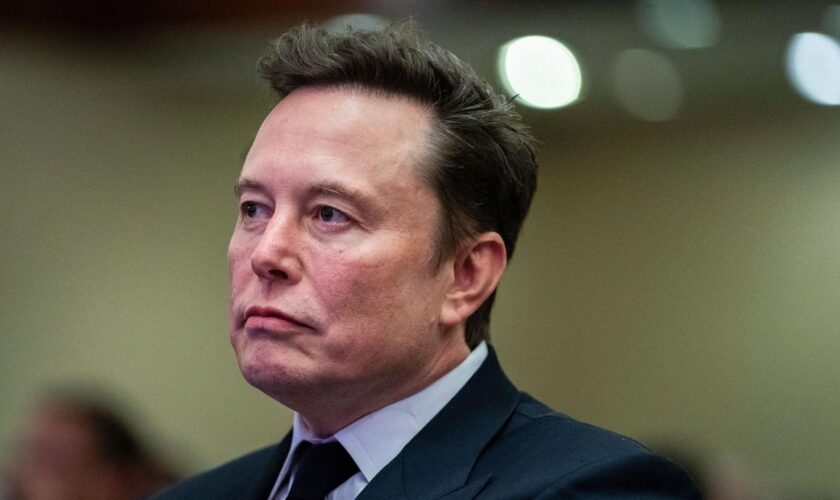 Deutsche Politiker finden ihn "übergriffig und anmaßend": Tech-Milliardär Elon Musk