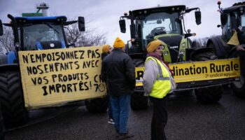 Le syndicat agricole Coordination rurale envisage de « monter sur Paris » à partir du dimanche 5 janvier