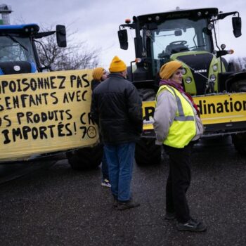 Le syndicat agricole Coordination rurale envisage de « monter sur Paris » à partir du dimanche 5 janvier