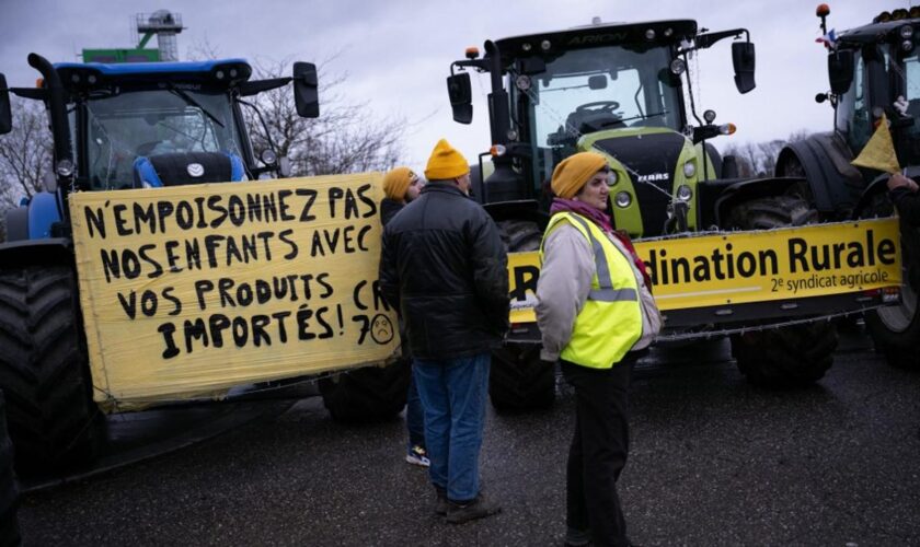 Le syndicat agricole Coordination rurale envisage de « monter sur Paris » à partir du dimanche 5 janvier