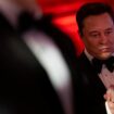 Gastbeitrag in der "Welt": Bundesregierung sieht in Wahlaufruf von Musk versuchte Einflussnahme