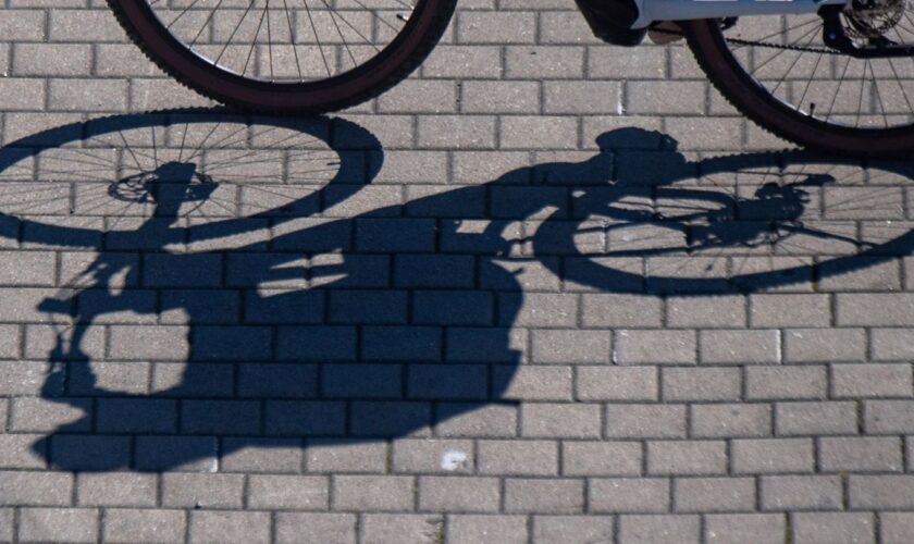 Die 85-Jährige erlag in einem Krankenhaus ihren schweren Verletzungen. (Symbolbild) Foto: Stefan Sauer/dpa