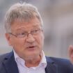 Jörg Meuthen wird wieder Professor – „Das ist die Gesetzeslage“