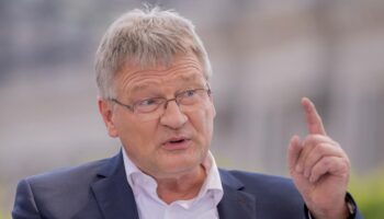 Jörg Meuthen wird wieder Professor – „Das ist die Gesetzeslage“