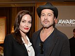 Brad Pitt and Angelina Jolie reach divorce settlement following bitter 8-year-long legal battle