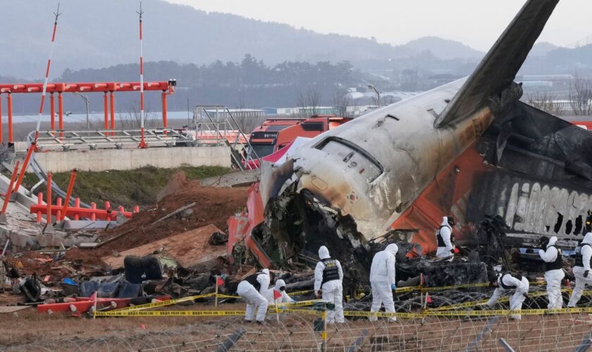 Die Ermittler haben bereits beide Flugschreiber gefunden, wobei einer davon beschädigt ist. Foto: Ahn Young-joon/AP/dpa