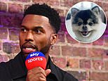 Daniel Sturridge pays £16,000 to settle five-year row with US rapper who found his stolen Pomeranian dog – after ex-Liverpool star ‘refused’ to cough up the £23,000 reward