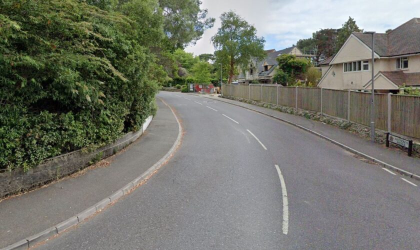 Anthony's Avenue, in Poole, Dorset. Pic: Google Street View