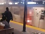 Debrina Kawam, 57, identified as woman burned to death 'by migrant' on NYC subway as NYPD shares horrifying new detail