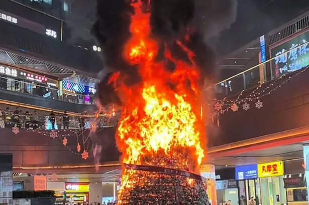 Shocking moment 30ft Christmas tree erupts into flames after crucial error