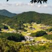 À la découverte de Koyasan, la ville japonaise aux cent temples et huit sommets