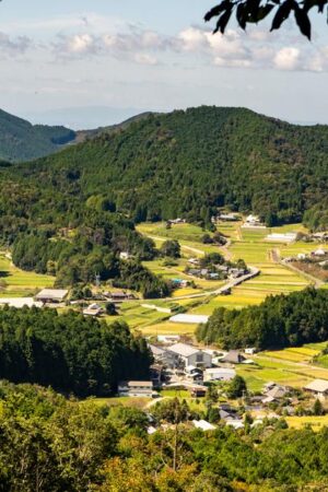 À la découverte de Koyasan, la ville japonaise aux cent temples et huit sommets