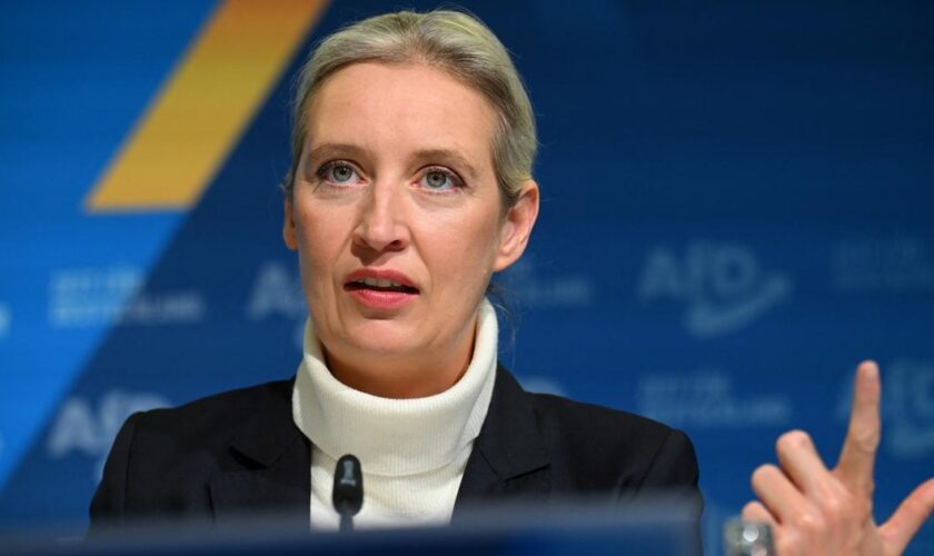 Allemagne : Alice Weidel, candidate d’extrême droite à la chancellerie, verbe haut et ambitions limitées