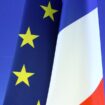 Allocations familiales : l’UE condamne la France pour son refus d’aider une famille entrée clandestinement