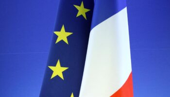 Allocations familiales : l’UE condamne la France pour son refus d’aider une famille entrée clandestinement