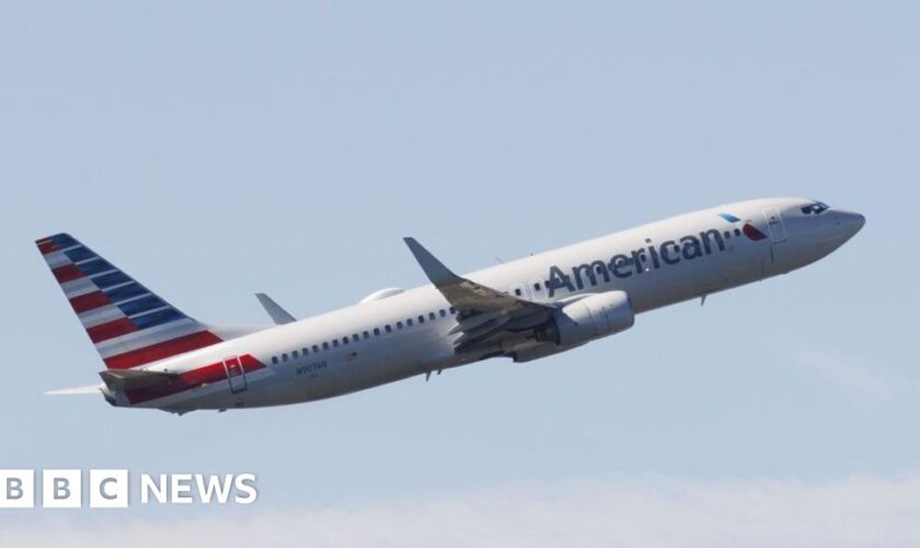 American Airlines resumes flights after technical issue