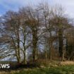 Ancient landmarks closed off to walkers, campaigners say