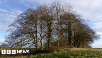 Ancient landmarks closed off to walkers, campaigners say