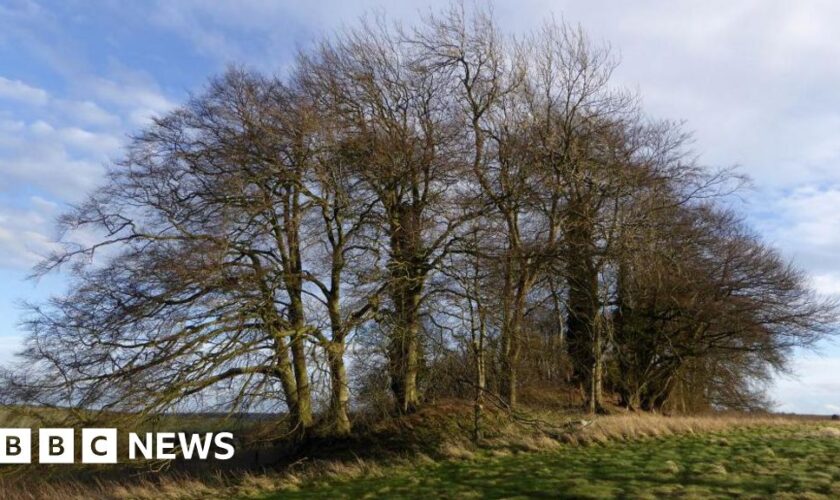 Ancient landmarks closed off to walkers, campaigners say