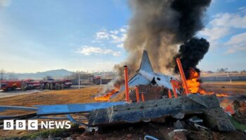 At least 28 dead in South Korea plane crash - reports