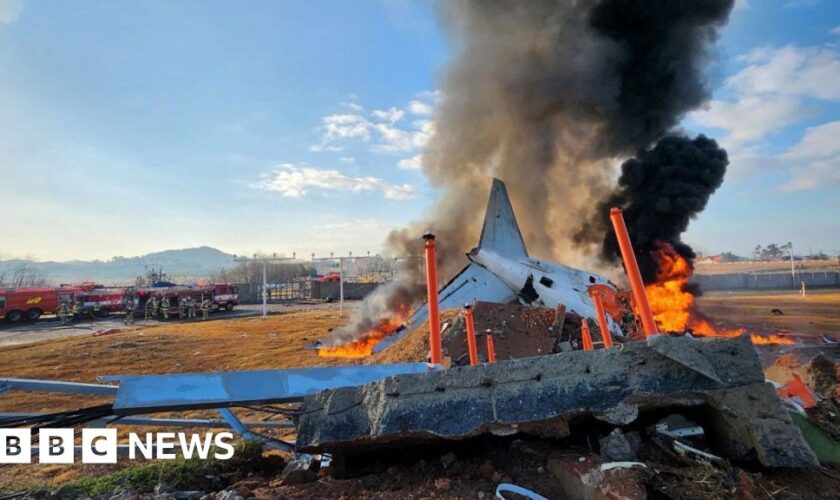 At least 28 dead in South Korea plane crash – reports