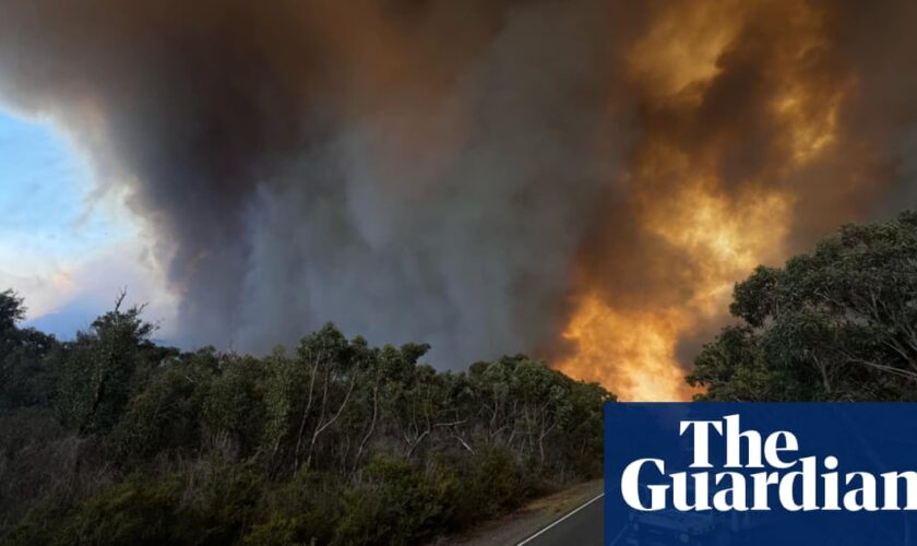 Australian bushfire smoke detected over Antarctica for first time since black summer