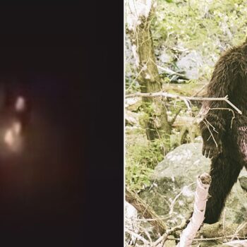 ‘Bigfoot’ dragged into US drone theories as WW3 fears and conspiracies swirl