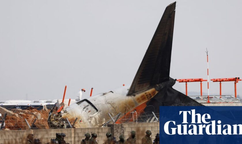 Bird strike unlikely sole cause of fatal South Korean plane crash, experts say