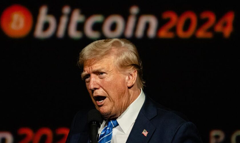 Bitcoin à 100.000 dollars : ces autres cryptomonnaies dont le cours explose depuis l’élection de Trump