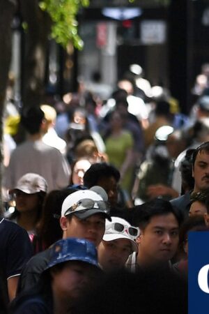 Boxing Day sales: crowds flock to stores around Australia in search of bargains