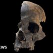 Bronze Age massacre victims likely cannibalised