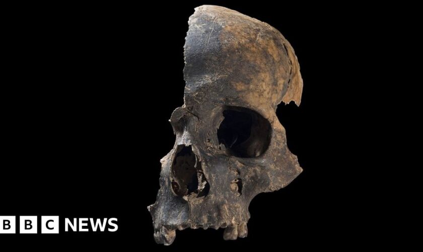 Bronze Age massacre victims likely cannibalised