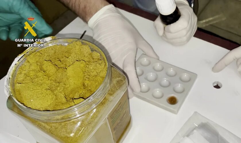 Cae una red que traficaba con cocaína camuflada entre especias alimentarias