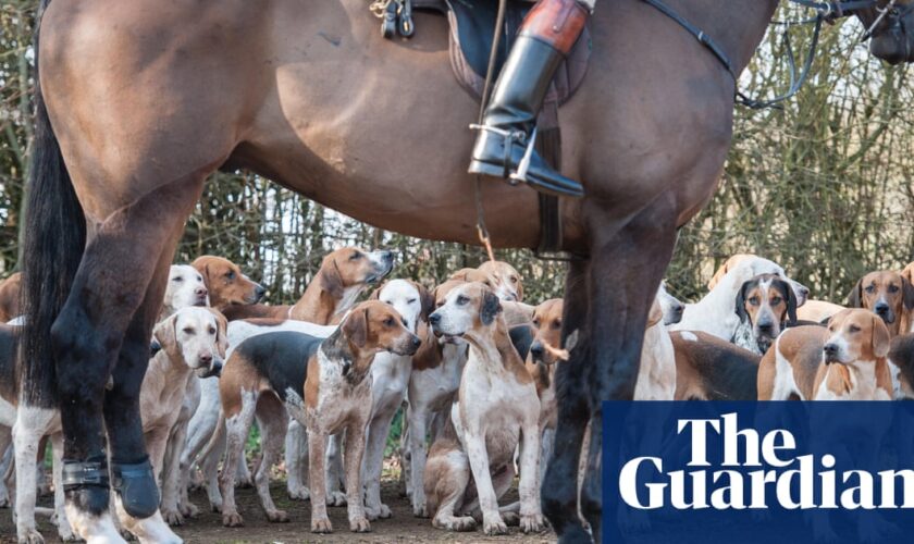 Calls for Labour to honour pledge to toughen anti-hunt laws