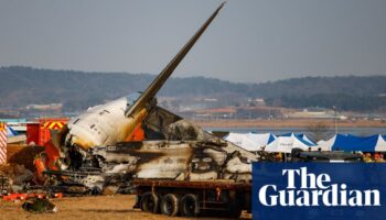 Cause of South Korea plane crash unclear as officials focus on bird strikes