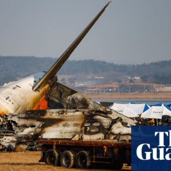 Cause of South Korea plane crash unclear as officials focus on bird strikes