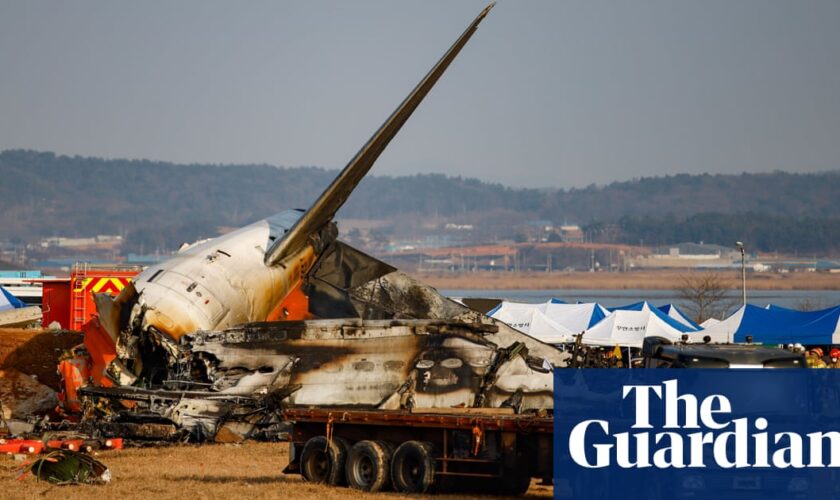 Cause of South Korea plane crash unclear as officials focus on bird strikes