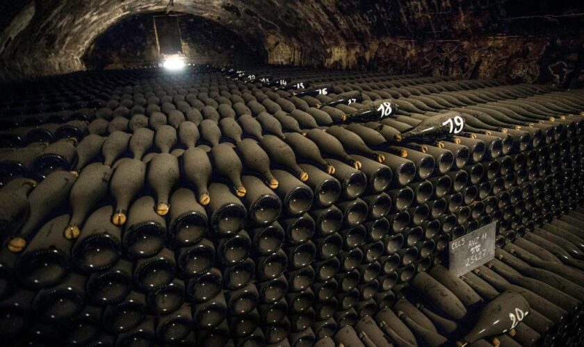 «Ces magnums sont un trésor unique»: dans les petits et les grands secrets du champagne Bollinger