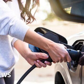 Consultation launched over petrol car phase-out