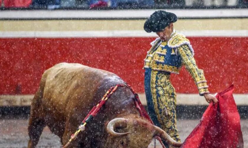 Damián Castaño matará en solitario seis toros de Dolores Aguirre en San Agustín de Guadalix