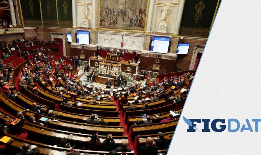 Début de bagarre, insultes, menaces : quand l’Assemblée nationale s’emporte