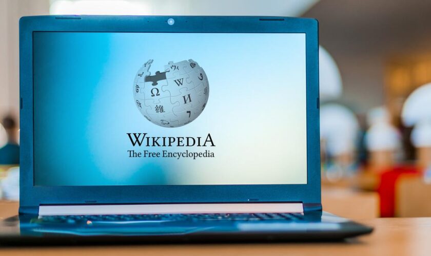 «Décès», «Kamala Harris», « Menendez», «JO»... Découvrez les 25 pages Wikipedia les plus lues en 2024 dans le monde