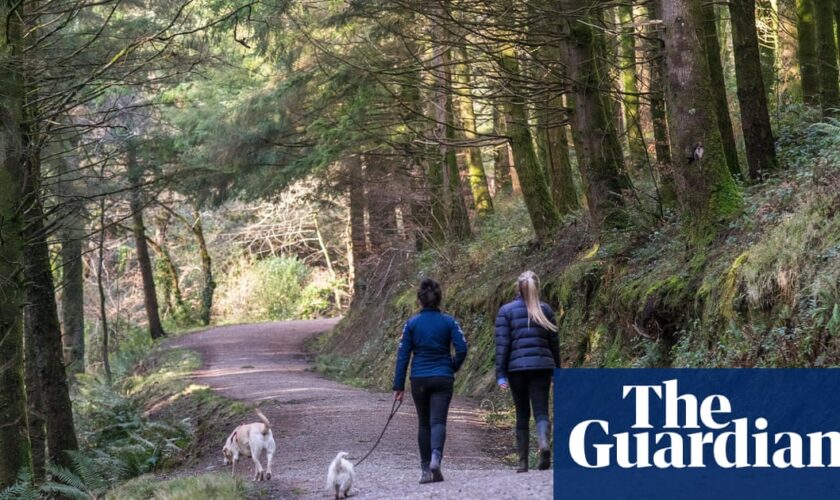 Defra scraps England deadline to register thousands of miles of rights of way